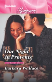 One Night in Provence - Barbara Wallace