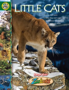 Zoobooks Little Cats