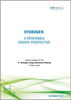 Hydrogen: A renewable energy perspective - International Renewable Energy Agency (IRENA)