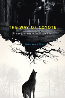 The Way of Coyote by Gavin Van Horn