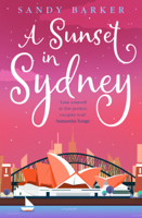 Sandy Barker - A Sunset in Sydney artwork