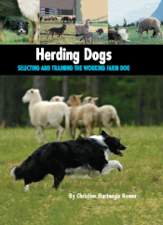 Herding Dogs - Christine Hartnagle Renna Cover Art