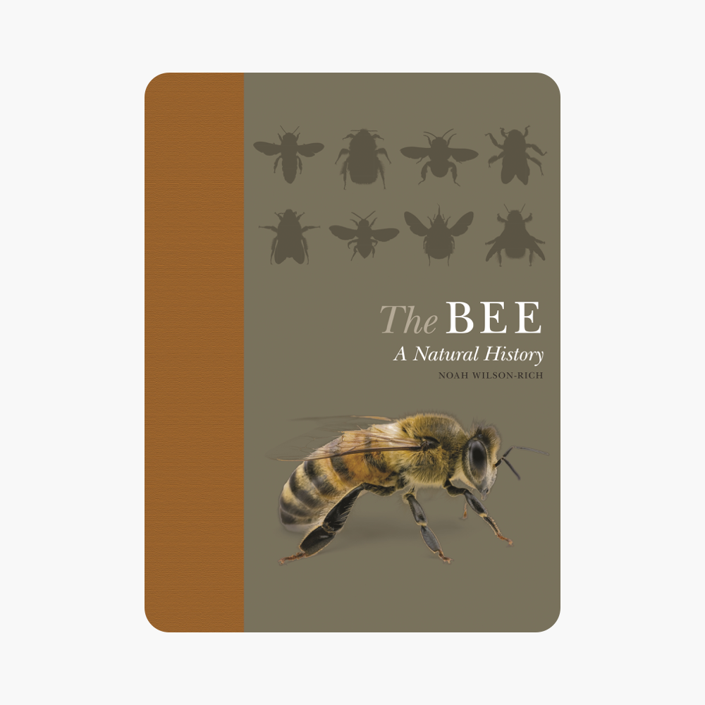 ‎The Bee
