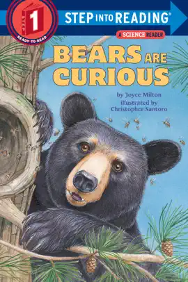 Read: Bears Book Are Curious