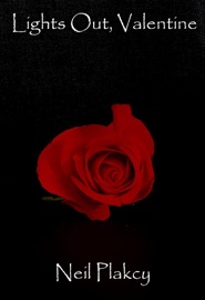 Lights Out, Valentine - Neil S. Plakcy