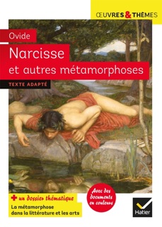 Narcisse et autres métamorphoses by Ovide, Michelle Busseron-Coupel & Hélène Potelet