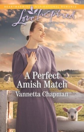 A Perfect Amish Match - Vannetta Chapman
