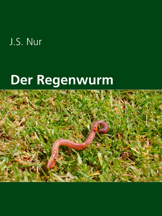 Der Regenwurm