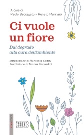 Ci vuole un fiore - Paolo Beccegato & Renato Marinaro