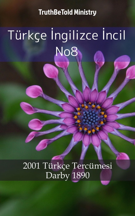 Türkçe İngilizce İncil No8