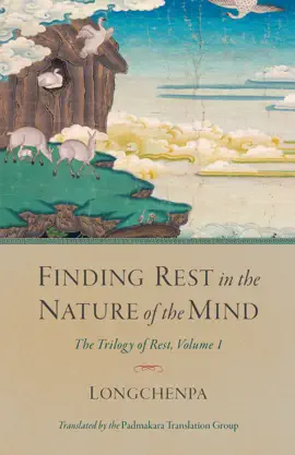 Read: Finding Rest in the Nature of the Mind Book
