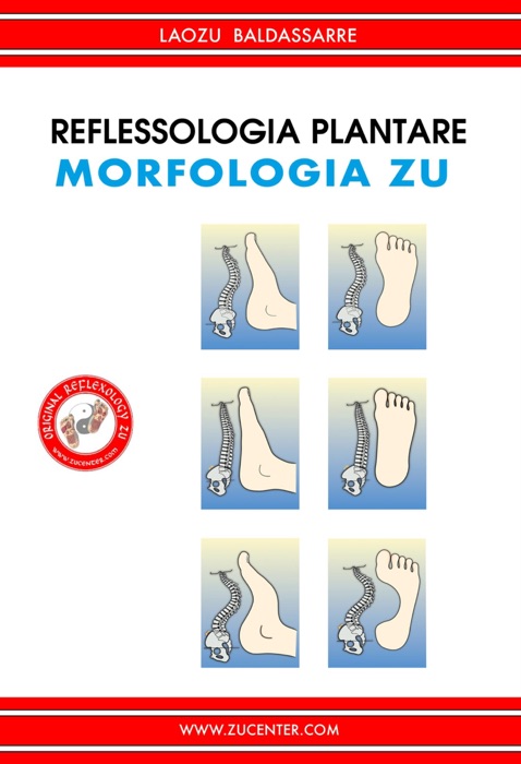 Reflessologia Plantare - Morfologia Zu