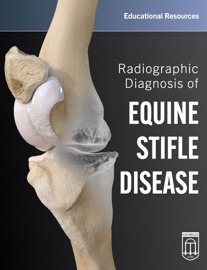Radiographic Diagnosis of Equine Stifle Disease - Educational Resources, University of Georgia