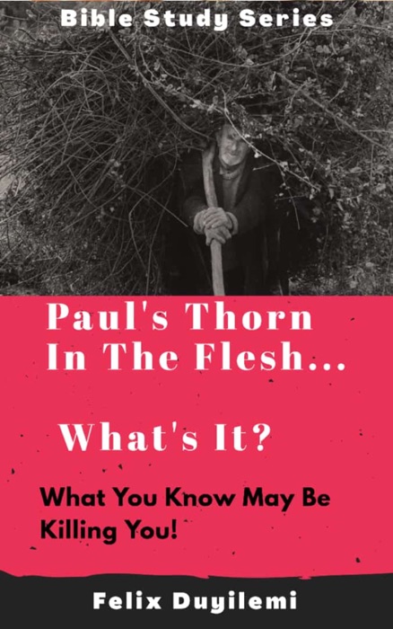 Paul's Thorn in the Flesh: What's It?