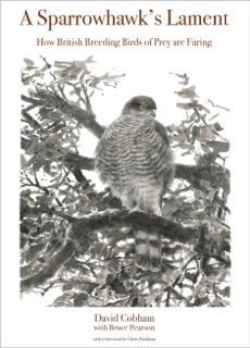 A Sparrowhawk's Lament by David Cobham