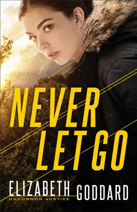 Read: Book Never Let Go