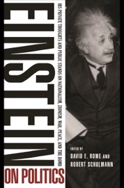 Einstein on Politics - Albert Einstein, David E. Rowe & Robert Schulmann