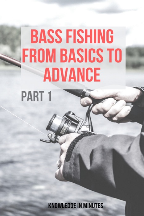 Bass Fishing From Basics To Advance: Part 1