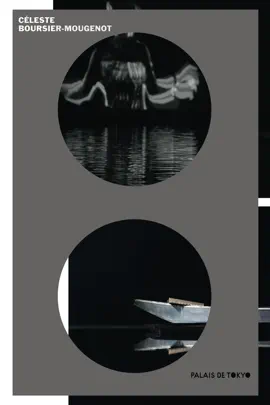 Read: Céleste Boursier-Mougenot Book (English edition)