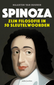 Spinoza - Maarten van Buuren