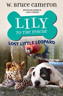 Lily to the Rescue: Lost Little Leopard by W. Bruce Cameron