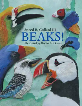 Read: Beaks!