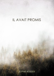Il avait promis