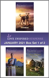 Harlequin Love Inspired Suspense January 2021 - Box Set 1 of 2 - Lisa Phillips, Alison Stone & Cate Nolan