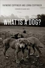 What Is a Dog? - Raymond Coppinger &amp; Lorna Coppinger Cover Art