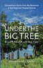 Book Under the Big Tree