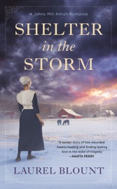 Shelter in the Storm - Laurel Blount