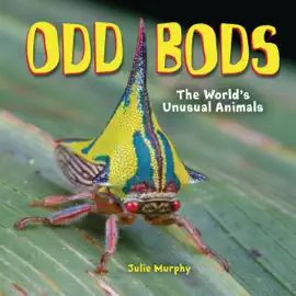 Read: Odd Book Bods