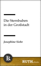 Die Sternbuben in der Großstadt - Josephine Siebe