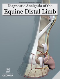 Diagnostic Analgesia of the Equine Distal Limb - Educational Resources, University of Georgia