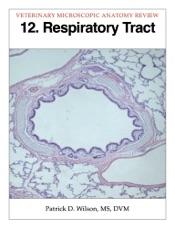 Download Respiratory