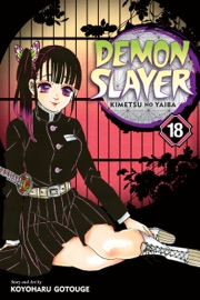 Demon Slayer: Kimetsu no Yaiba, Vol. 18 - Koyoharu Gotouge
