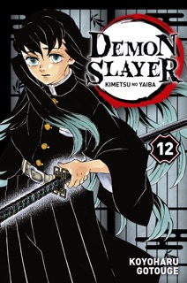Demon Slayer T12 by Koyoharu Gotouge