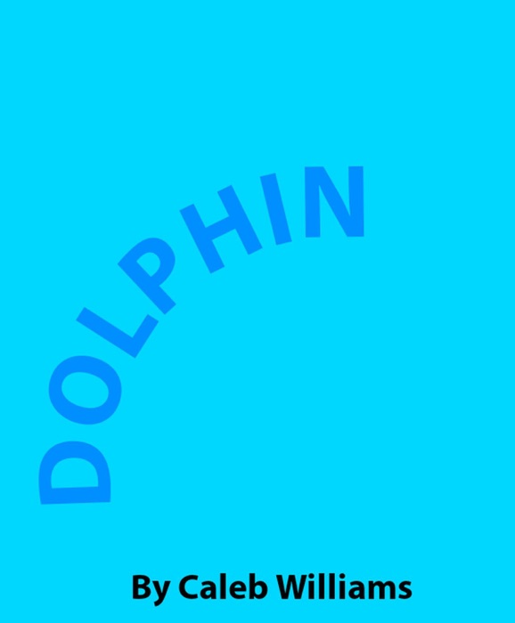 Dolphin