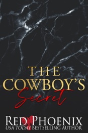Download The Cowboy's Secret