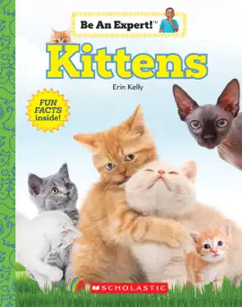Read: Book Kittens (Be An Expert!)