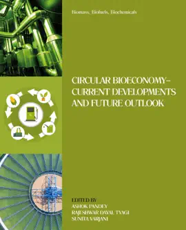 Read: Biomass, Book Biofuels, Biochemicals