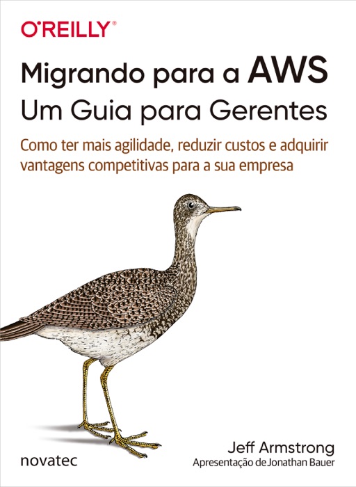 Migrando para a AWS: Um Guia para Gerentes
