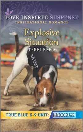Read: Explosive Situation Book