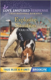 Explosive Situation - Terri Reed