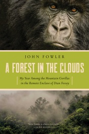 Book A Forest in the Clouds - John Fowler