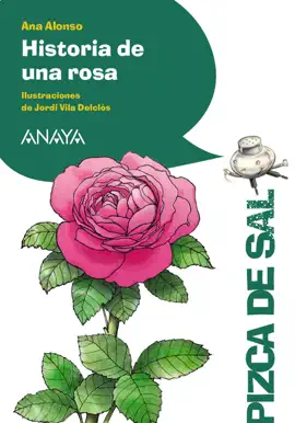 Read: Historia de Book una rosa