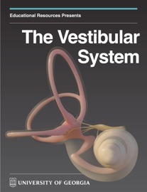 The Vestibular System - Educational Resources, University of Georgia