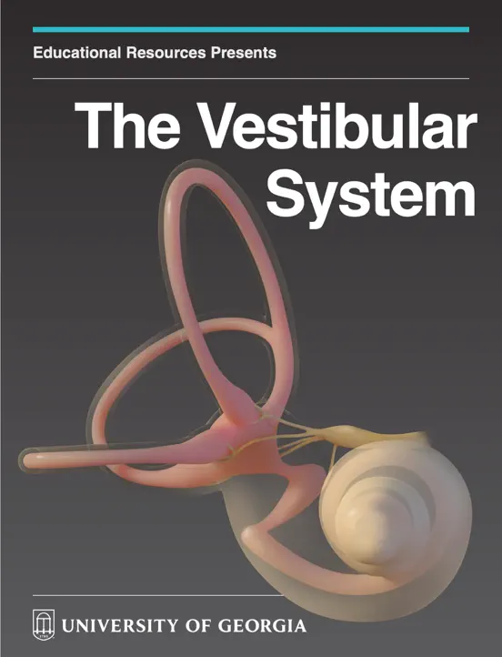 The Vestibular System