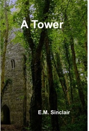 A Tower Book 11 Circles of Light - E.M. Sinclair