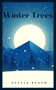 Winter Trees
